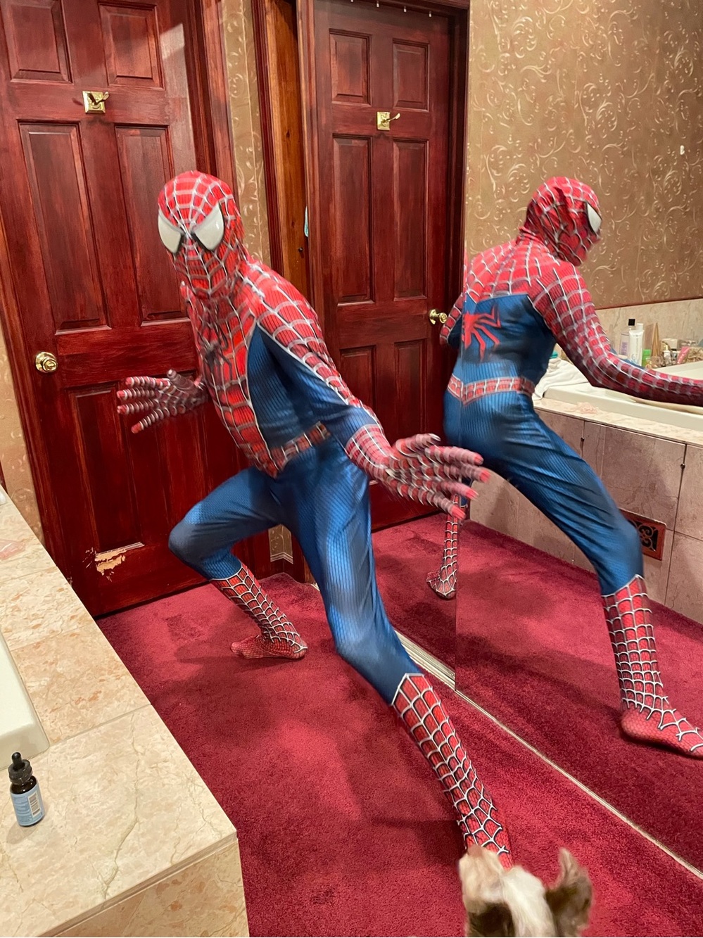 Men's Red and Blue Spiderman Bodysuit Costume with Mask